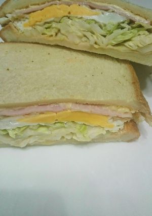 キャベツたっぷりなサンドイッチ♪-レシピのメイン写真