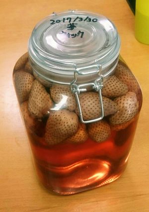 いちごウォッカ-レシピのメイン写真