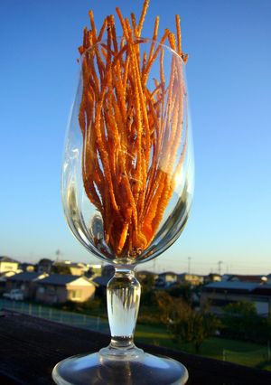 おつまみ♪揚げパスタプリッツ-レシピのメイン写真