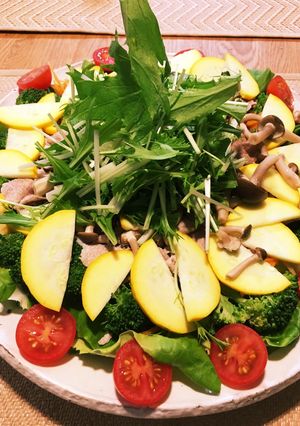 彩り野菜の冷しゃぶ-レシピのメイン写真
