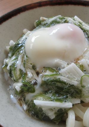 温玉とろ～！めかぶと長芋のぶっかけうどん-レシピのメイン写真