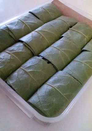柿の葉寿司（炙りしめ鯖）-レシピのメイン写真