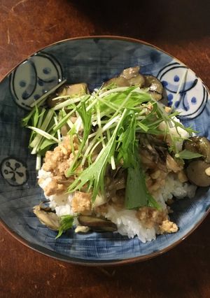 ナスのみぞれ丼-レシピのメイン写真