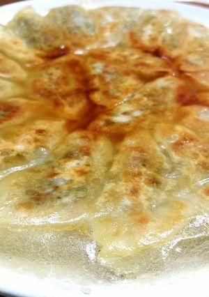 にんにく無し！たっぷり春菊の焼き餃子-レシピのメイン写真