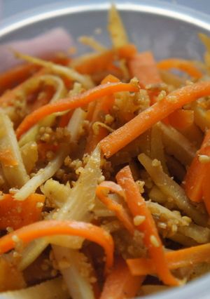 大根の皮で節約きんぴらのごま和え☆常備菜-レシピのメイン写真