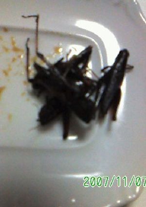 イナゴの佃煮-レシピのメイン写真