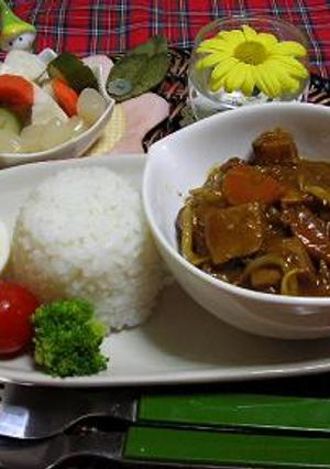 簡単　高野豆腐ともやしのカレー-レシピのメイン写真