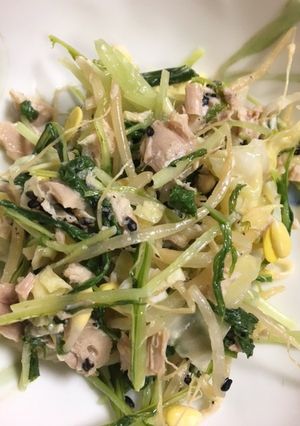 無限みずなと豆もやし-レシピのメイン写真