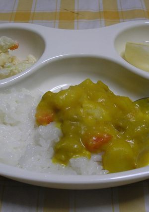 完了期のカレーライス-レシピのメイン写真