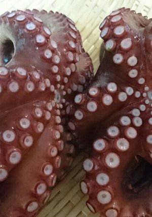 ヌメリが取りやすい簡単生蛸の茹で方-レシピのメイン写真