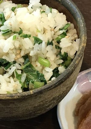 明日葉ごはん♡-レシピのメイン写真