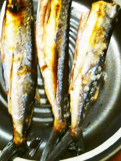 今が旬!シンプルが美味しい!飛び魚塩焼き-レシピのメイン写真
