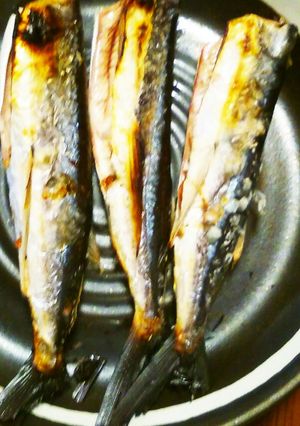 今が旬！シンプルが美味しい！飛び魚塩焼き-レシピのメイン写真