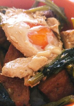 小松菜と厚揚げの煮浸し丼-レシピのメイン写真