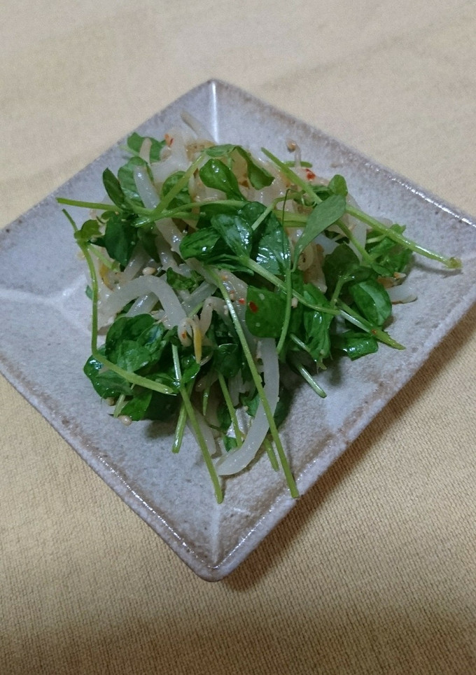 混ぜるだけ！豆苗ともやしのナムル-レシピのメイン写真
