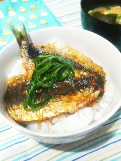 いわしの蒲焼丼-レシピのメイン写真