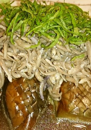 茄子としらすのさっぱり含め煮-レシピのメイン写真