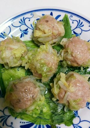 キャベツが皮 焼売-レシピのメイン写真
