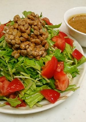 たっぷり野菜と納豆の冷し味噌ラーメン-レシピのメイン写真