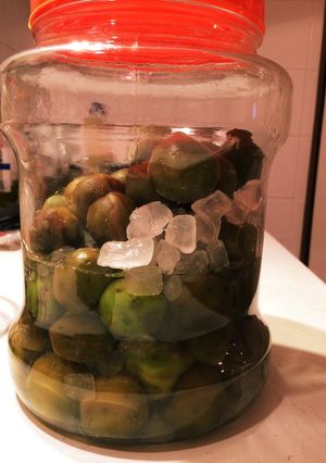 梅ジュース-レシピのメイン写真