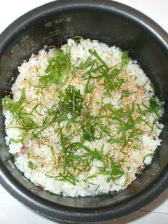 ミョウガの混ぜご飯♪簡単混ぜるだけ炊飯器-レシピのメイン写真