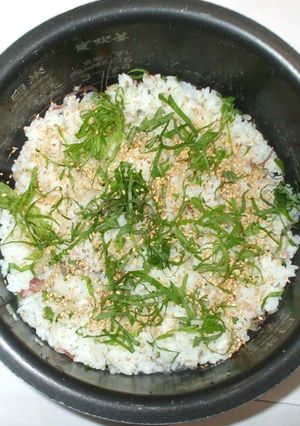 ミョウガの混ぜご飯♪簡単混ぜるだけ炊飯器-レシピのメイン写真