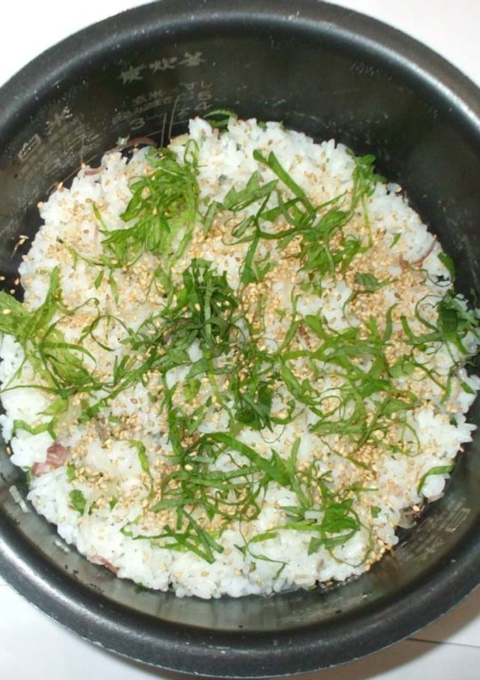 ミョウガの混ぜご飯♪簡単混ぜるだけ炊飯器-レシピのメイン写真