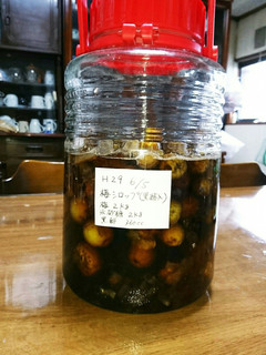 黒酢入り梅シロップ-レシピのメイン写真