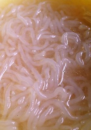 超絶ズボラの酒のあて、塩ラー(´c_`)-レシピのメイン写真