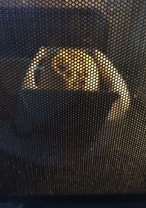 ワンボウル!ズッキーニブレッド(ケーキ)-レシピのメイン写真