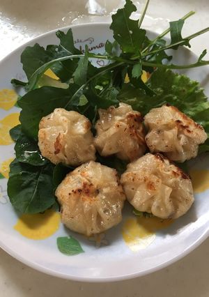 おからのマヨ餃子お手玉風-レシピのメイン写真
