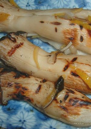 ※　焼き松茸？？いえ焼きエリンギです　※-レシピのメイン写真