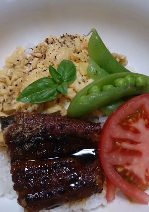 ランチに☆うなぎとふわふわ玉子のカフェ丼-レシピのメイン写真