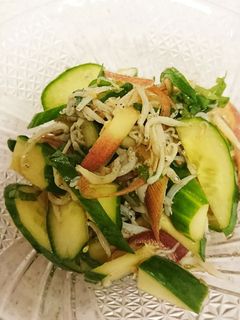 夏のつまみ!きゅうりとしらすの薬味和え-レシピのメイン写真