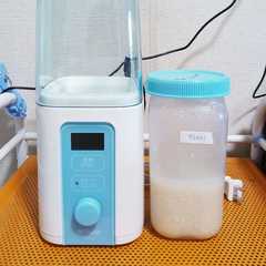 水と米糀のみで簡単甘酒作り-レシピのメイン写真