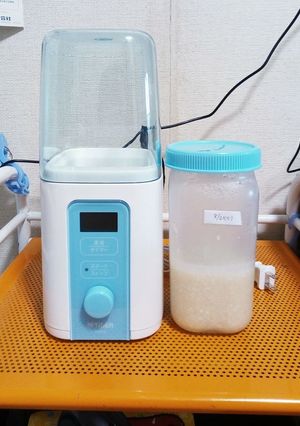 水と米糀のみで簡単甘酒作り-レシピのメイン写真
