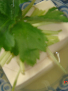暖か湯豆腐-レシピのメイン写真