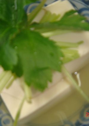 暖か湯豆腐-レシピのメイン写真