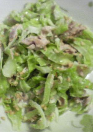 キャベツ食べれたよ♡茹でキャベツのサラダ-レシピのメイン写真