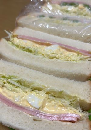 具だくさん春キャベツのサンドイッチ-レシピのメイン写真