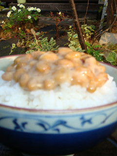 簡単☆納豆ごはん-レシピのメイン写真