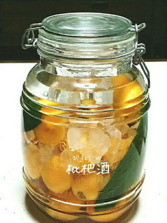 びわの葉入り、びわ酒♪-レシピのメイン写真