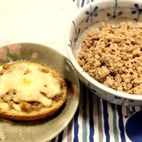 基本からアレンジまで！思わずつくりたくなる「まぐろ そぼろ」の