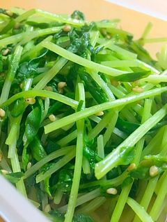 豆苗のナムル-レシピのメイン写真