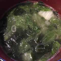 รูปของ レタスの中華スープ
