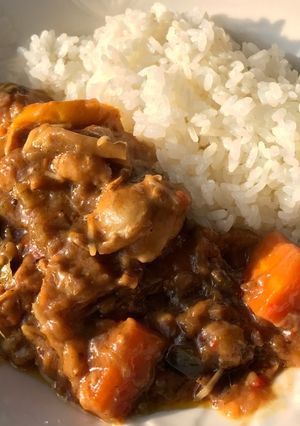 ダッチオーブン 無水ホルモンカレー-レシピのメイン写真