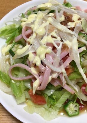 サラダうどん-レシピのメイン写真