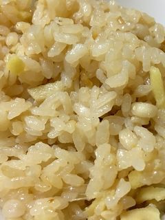 発酵玄米入り新しょうがご飯-レシピのメイン写真