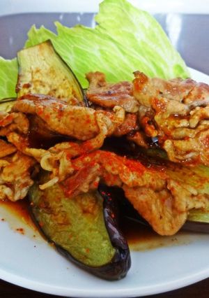 ナスステーキの焼きに肉のせ-レシピのメイン写真