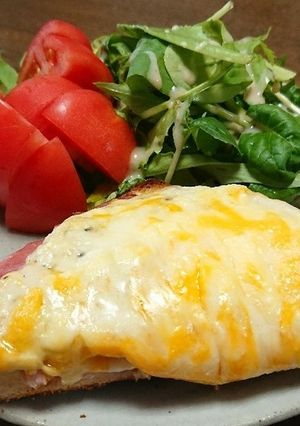 豆腐で簡単ヘルシー✿クロックムッシュ風-レシピのメイン写真